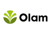 Olam